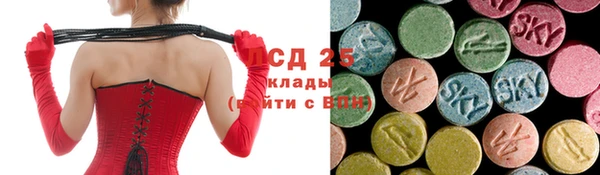 СК Аркадак