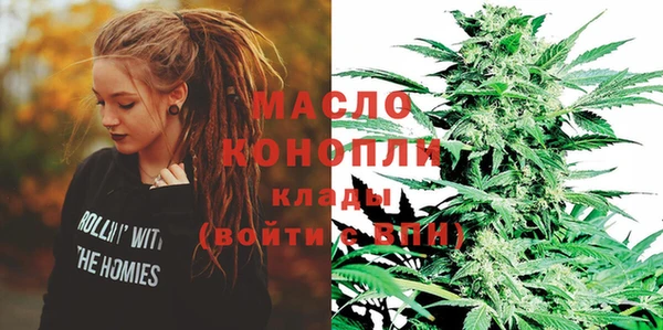 шишки Арсеньев