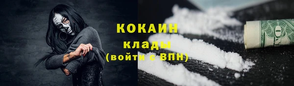 шишки Арсеньев
