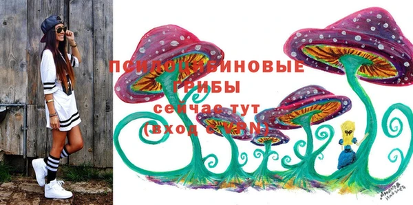 шишки Арсеньев