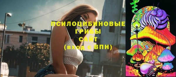бошки Армянск